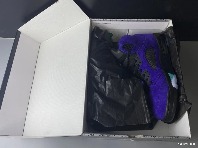 Jordan Grape 5 Alternate Air 136027-500 Retro 0610